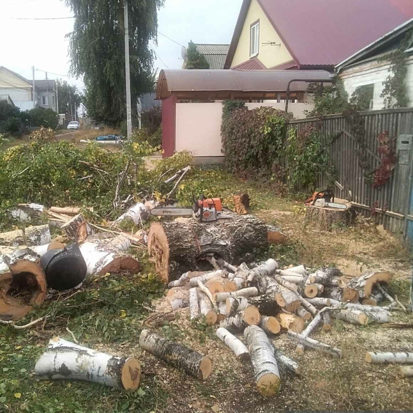 Признаки повреждений ствола, указывающие на угрозу